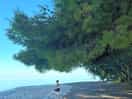 Ochtendritueel