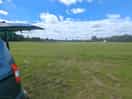 The field
