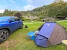 Top of site field near toilet/shower block