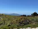 Great walk