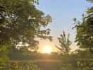 Beautiful sunset