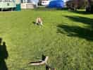 Grass area between pitches