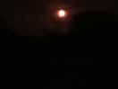 Ok,not a great picture of moon