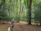 Woodland walks