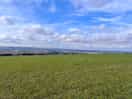 A wonderful view