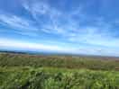 Nice view