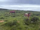 Very lucky to see these