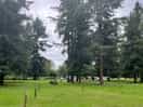 Campsite