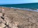 The beach adjacent to the site