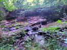 Stream