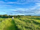 Dog walk
