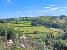 Views around