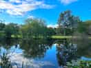 A great place for a dog walk.