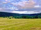 Field view