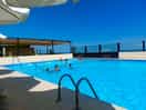 Campsite pool.