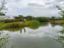 My lad fishing