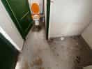I don’t know when was the last time they were cleaned, only one toilet roll