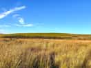 Beautiful scenery