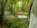 View from tent