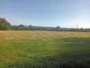 View from our very small tent