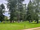 Campsite