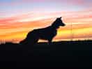 Glorious sunset