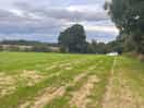 Photo of the field from the portaloo end