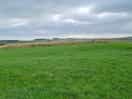 Top field, great for kite flying