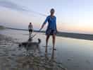 Dog friendly beach