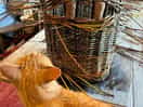 Chief basket inspector doing the rounds, checking on progress