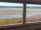 From the hide