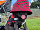 Winny loved the site