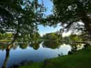 The lake