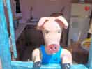 The town is well known for their pork 'jambon' which are legs of pork.