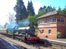 Train arriving at crowcombe heathfield station - just a 15 minute walk from the site.