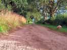 The track coming up to the site, a littlw bumpy but nothing to complain about.