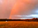 Summer storms passing, pot of gold moment.
