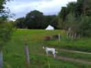 We had a bell tent in the second field