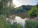 Farm pond