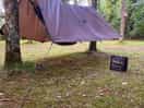 Great place for hammocks.