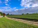 Crops to one side of the track, campers to the other!