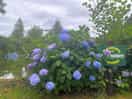 Beautiful gardens