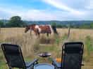 Horsing around