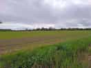 Adjacent field