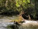 The river near our pitch