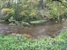 The river