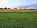 View across the field