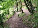 Walk to cabin