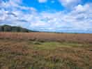 Walkers heaven - lose yourself in the new forest.