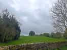 The view from our pitch - sa 18